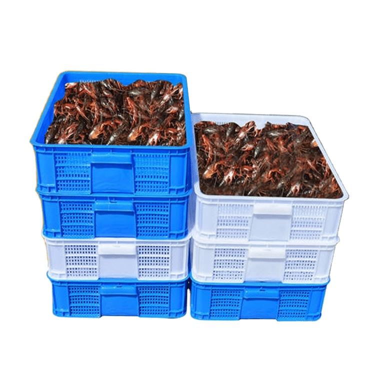 Ventilated plastic crates for shrimp | High Quality & Factory Price‎